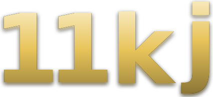 11 kj logo